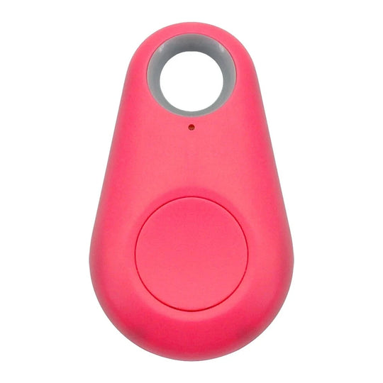 Pet Smart GPS Tracker