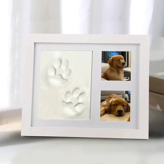 Pet Pawprint  Frame DIY