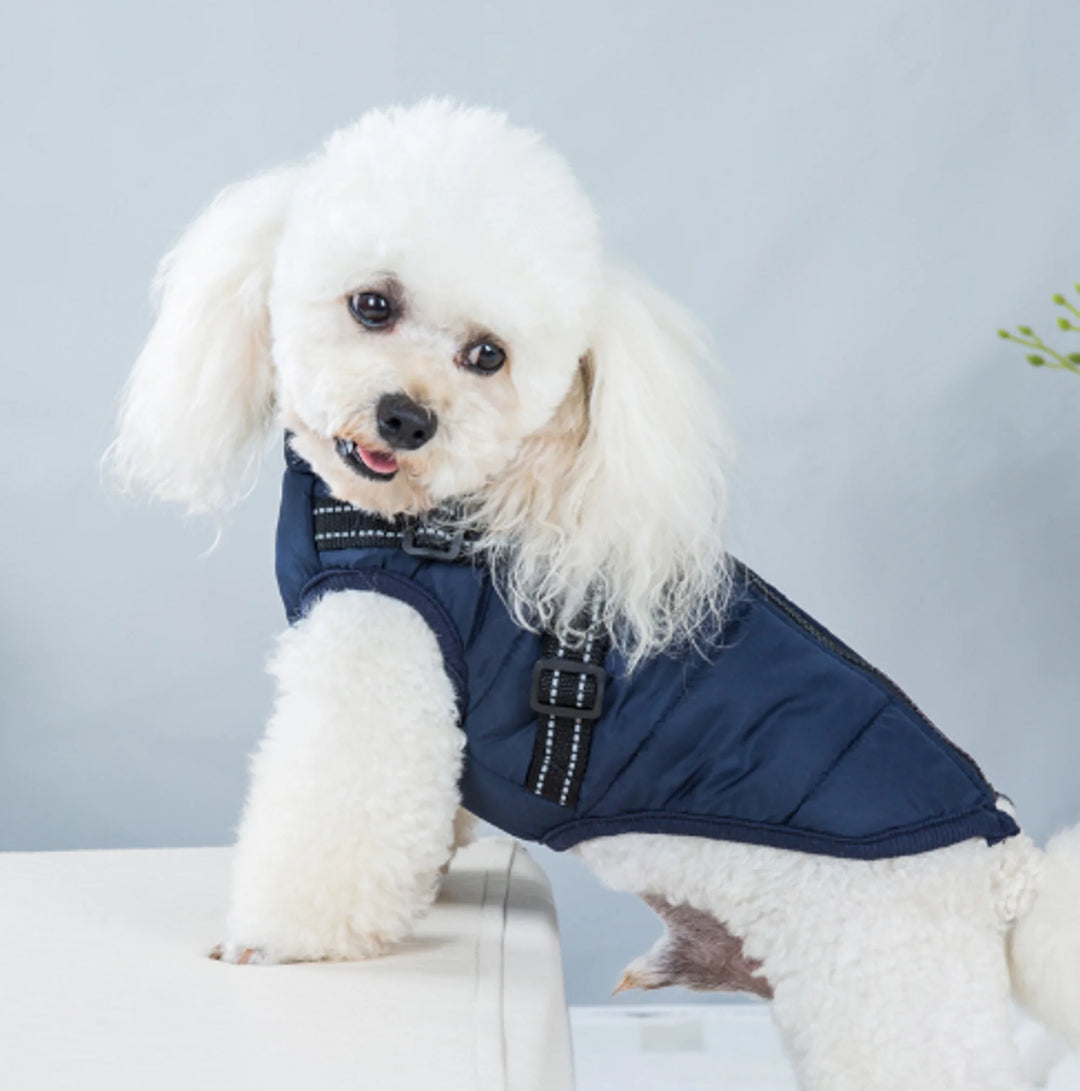 Dog Winter Waterproof Jacket