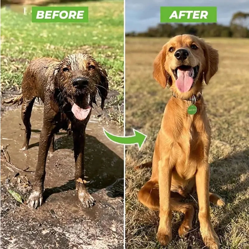 Pet Shower Nozzle