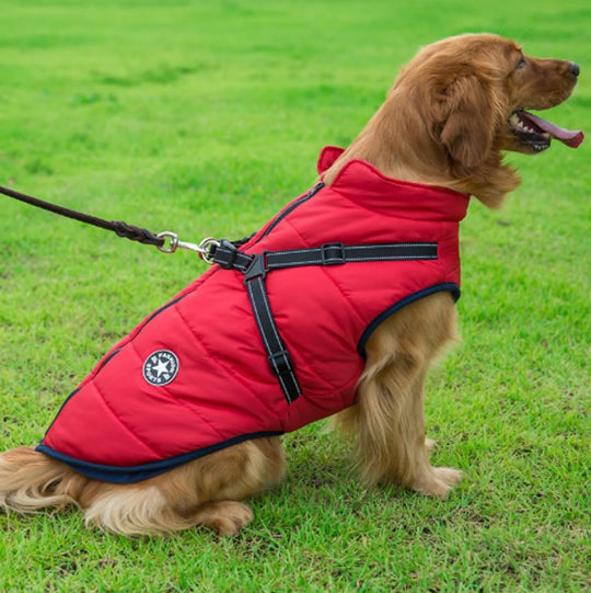 Dog Winter Waterproof Jacket