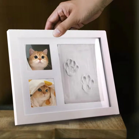 Pet Pawprint  Frame DIY