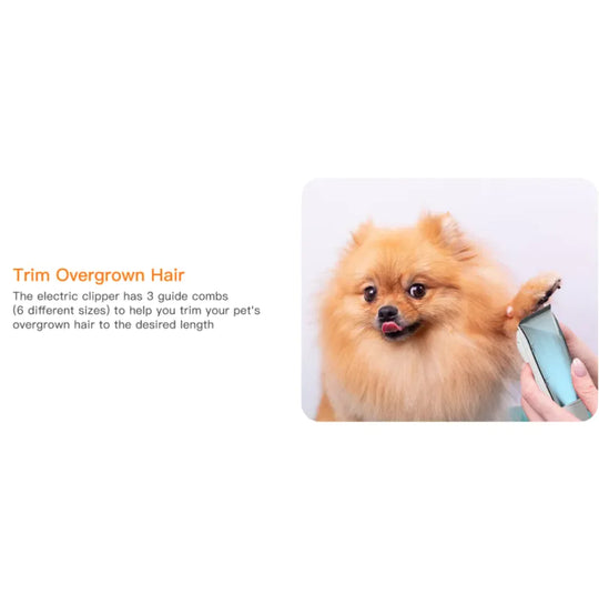 Pet Multifunctional Hair Conditioner & Cleaner