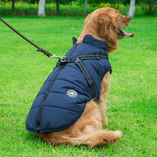 Dog Winter Waterproof Jacket