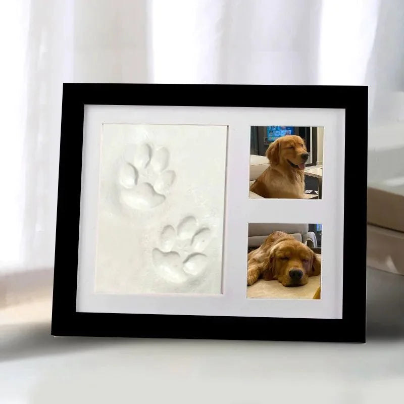 Pet Pawprint  Frame DIY