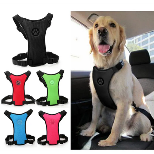 Pet car safety chest back