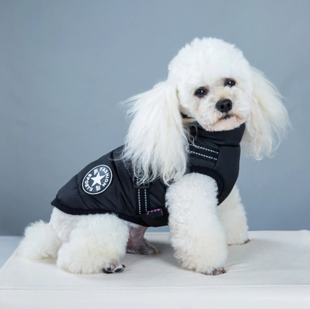 Dog Winter Waterproof Jacket