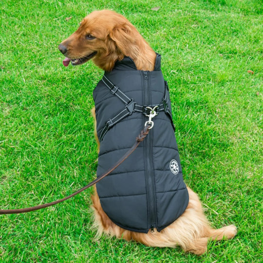 Dog Winter Waterproof Jacket